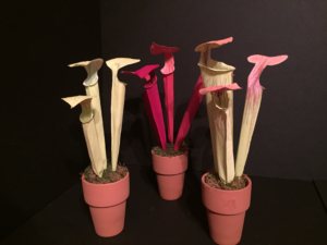 pitchers 3 types.webp