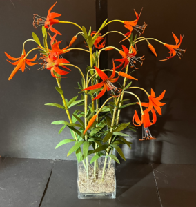 sandhill lilies large vase.webp
