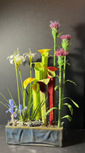 sandhills mixed.webp