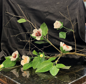 stewartia branch.webp